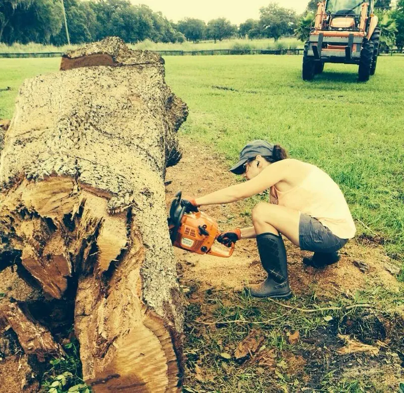 Fallen tree and debris removal